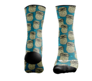 Hipster Owls Socks